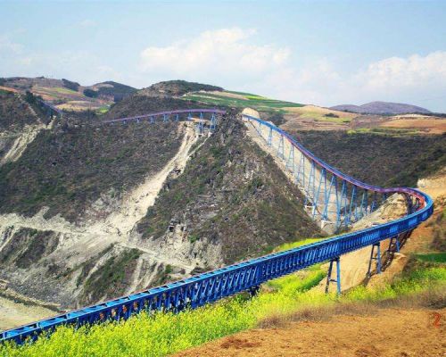 Longe longe Plane Conveyor Conversus Cingulum